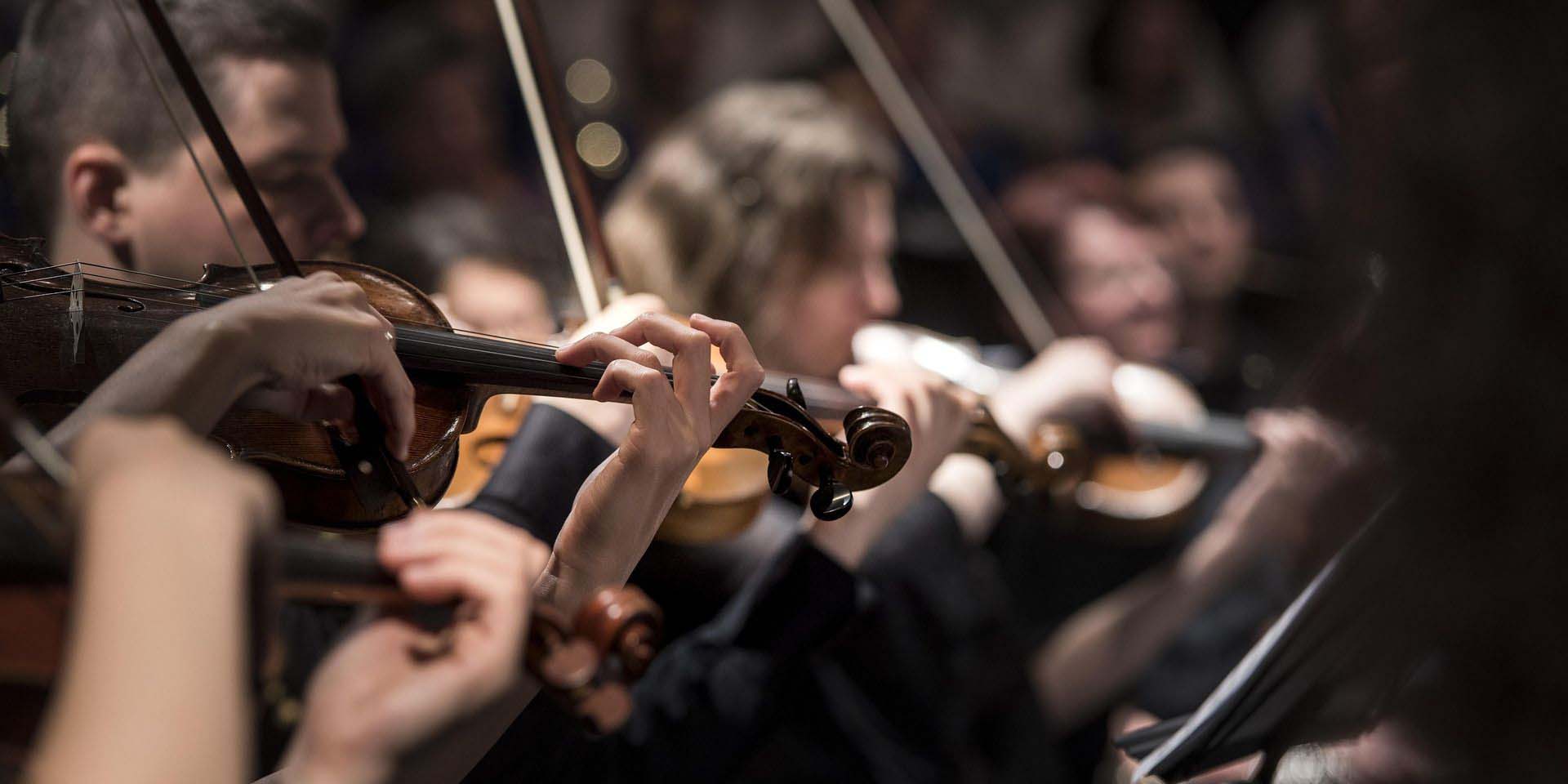 Violins